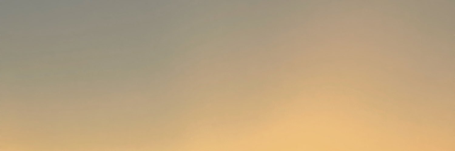 / banner