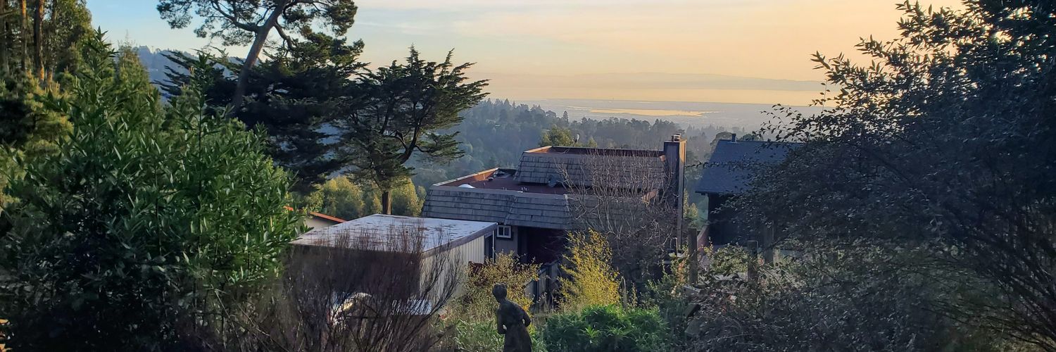 Vandertross's profile banner image
