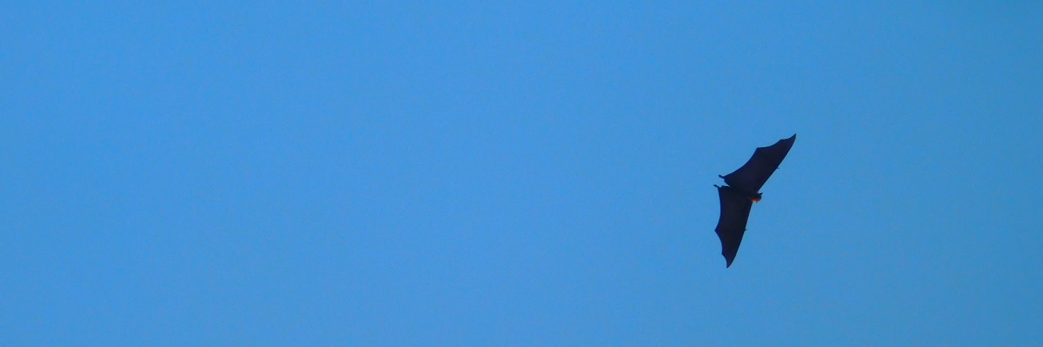 __thatbongguy7's profile banner image