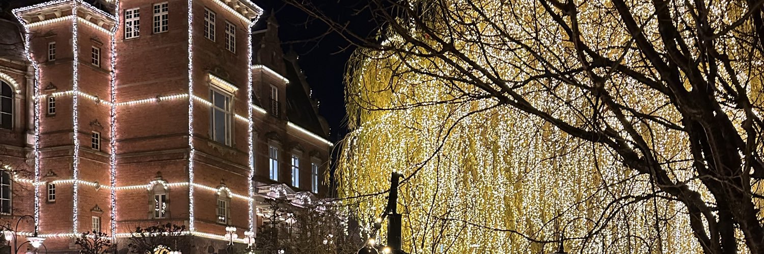 Camilla Løkkegaard 🇩🇰🇬🇱 banner