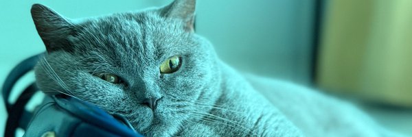 eylaXprodigy Profile Banner