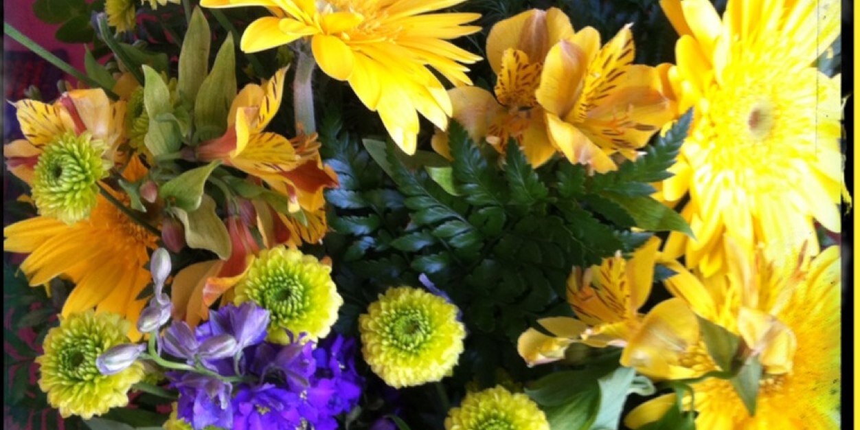 Gwen Hakel banner