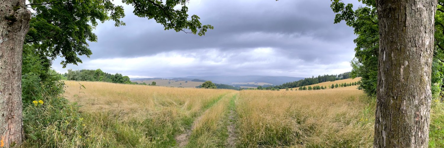 Margery85's profile banner image