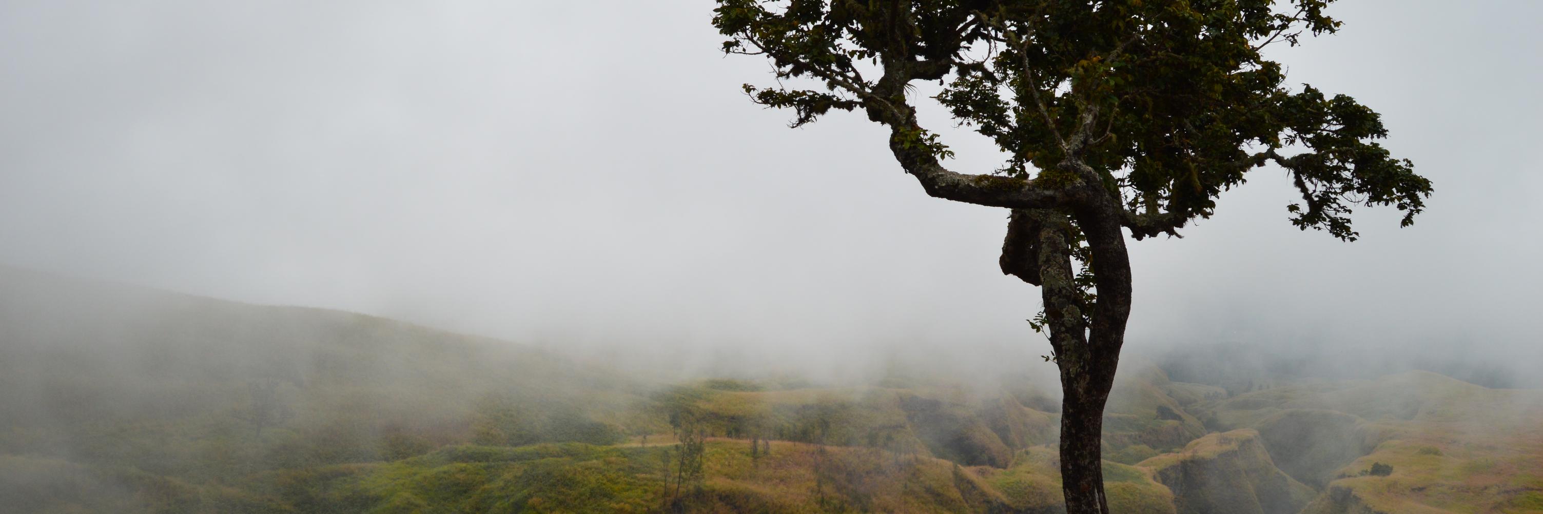 mathiaskjar's profile banner image