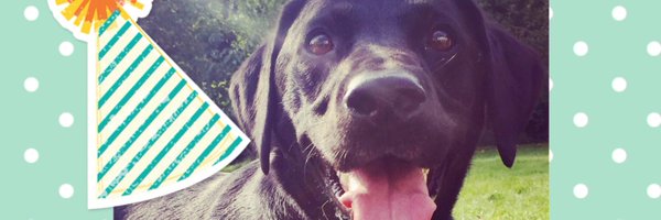 FabFunFood Profile Banner