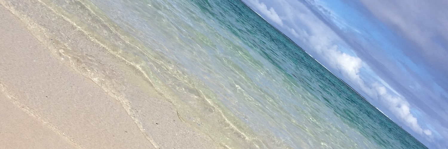 miotaco's profile banner image