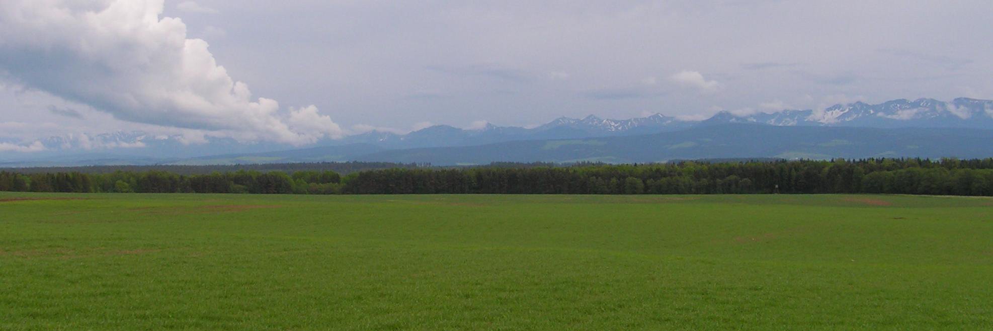 jo_kubik's profile banner image