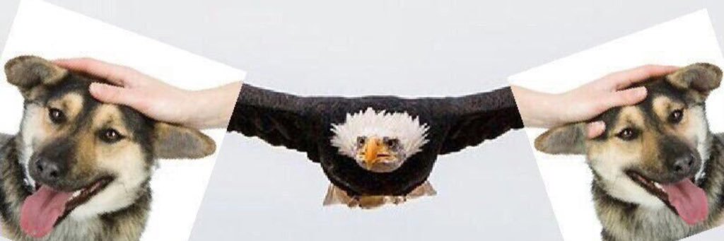 1xaski's profile banner image