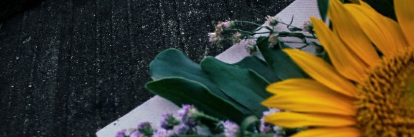 Twriyanti's profile banner image