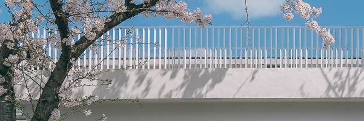 ᴅɪᴍᴋʜ banner