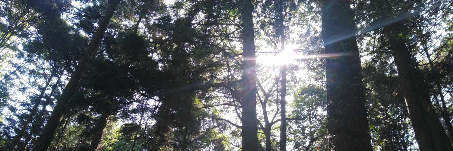 osamu（박준혁🐻‍❄️） banner