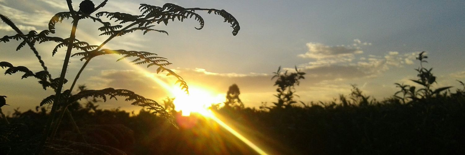 phillistique's profile banner image