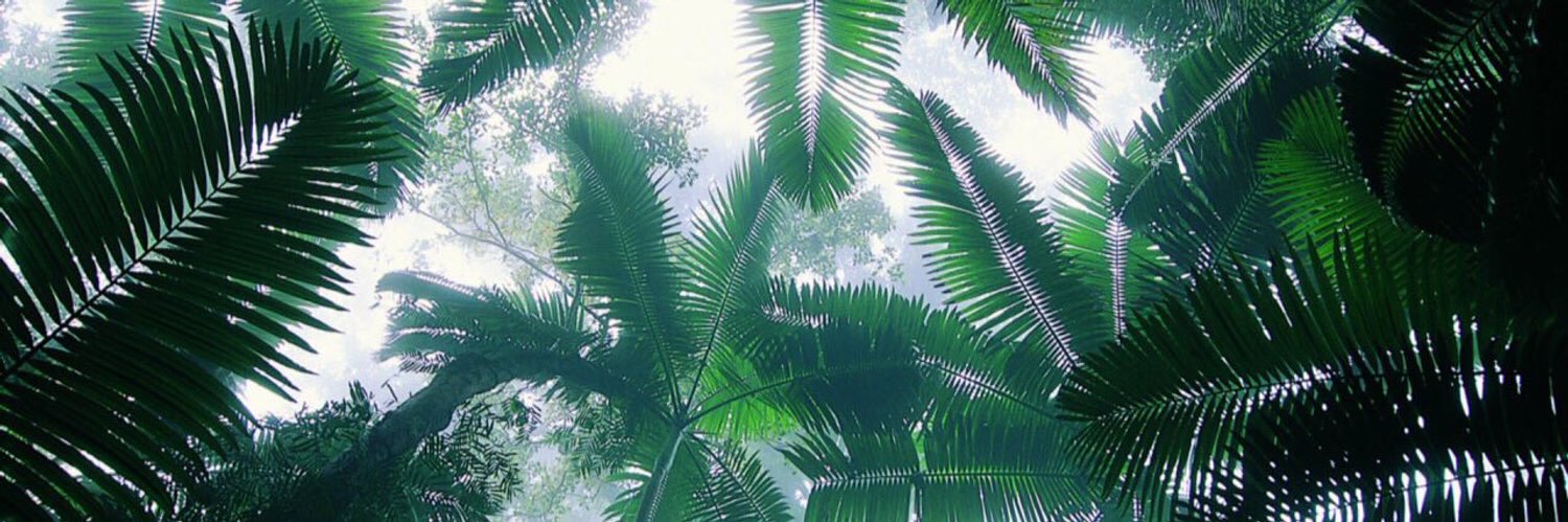robzillaaaaa's profile banner image