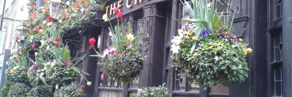 Willigje Profile Banner