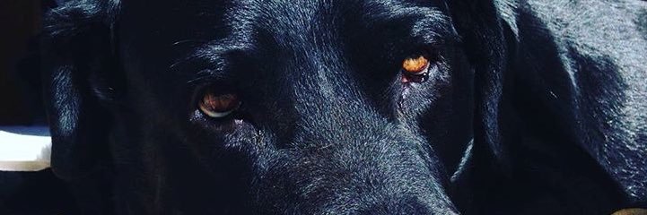 JaviPI7's profile banner image