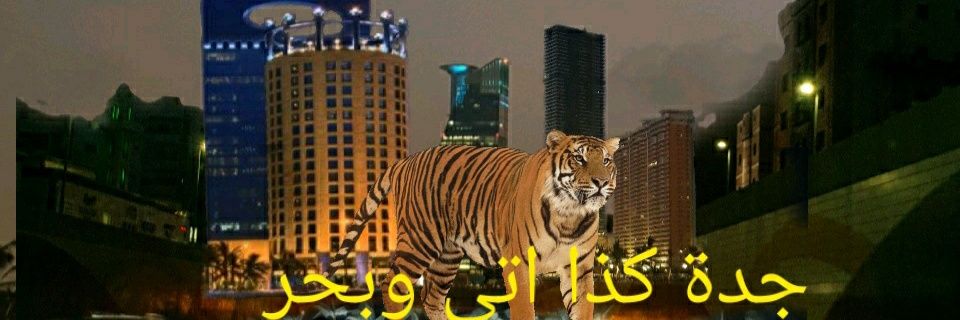 altayer11's profile banner image
