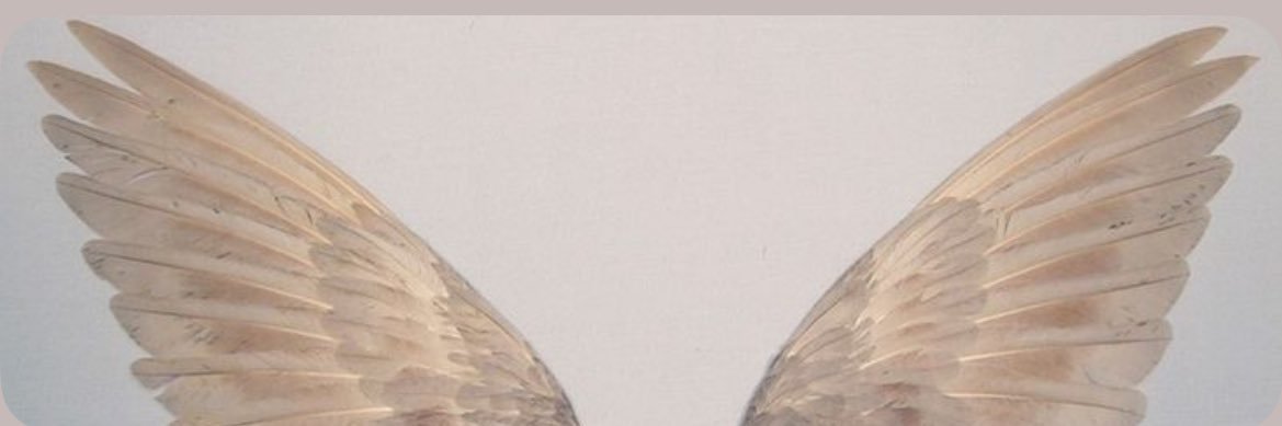 Elfsoull's profile banner image