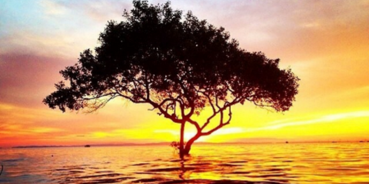 WALL_IIE's profile banner image