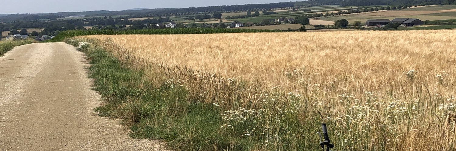 bexstanton's profile banner image