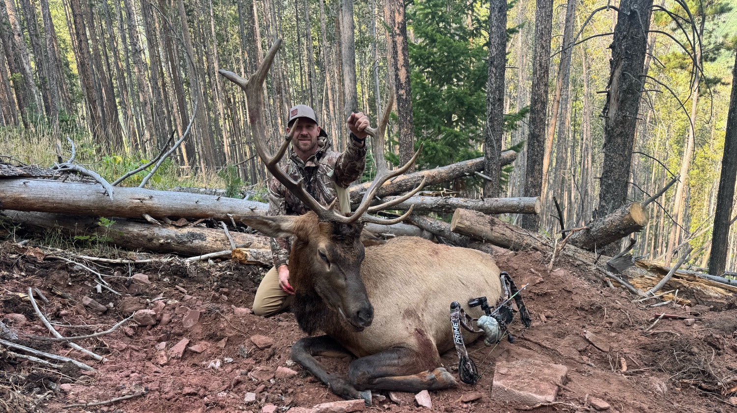 David Soltvedt banner