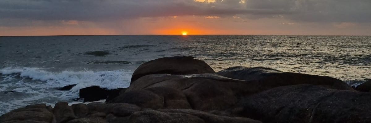 brascesco3's profile banner image