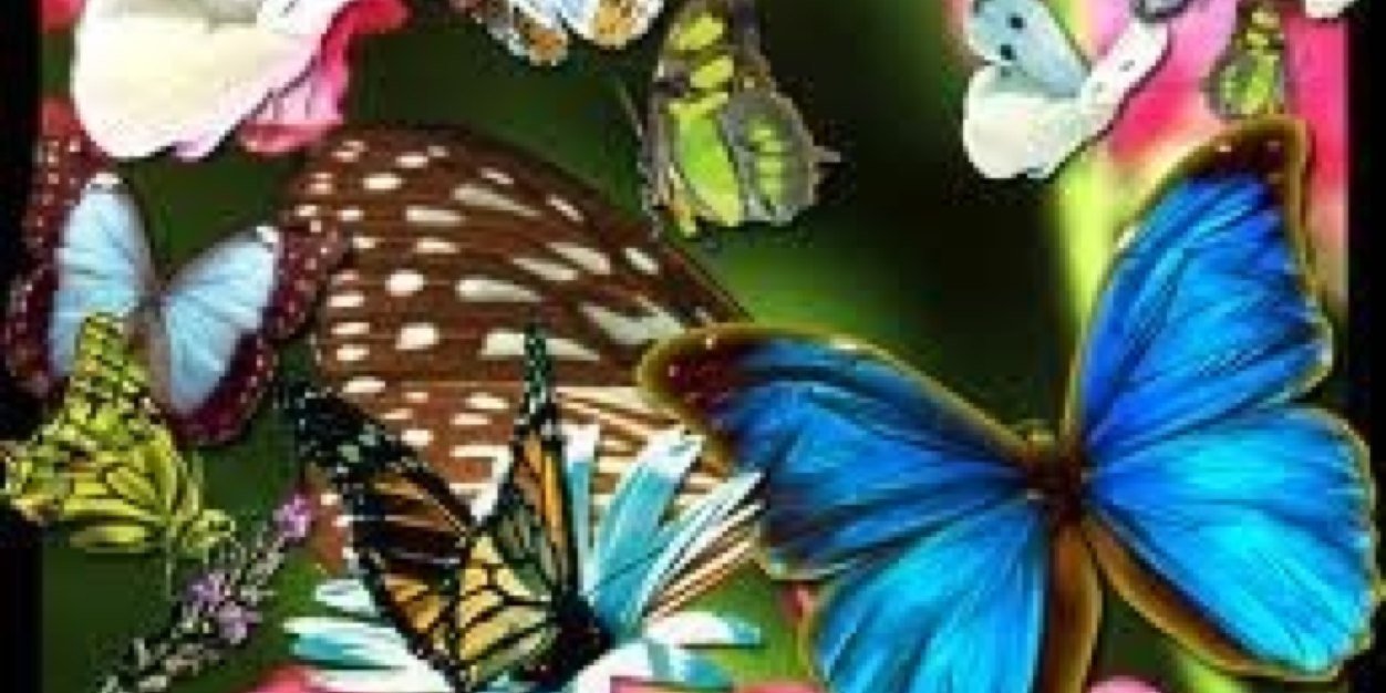 didemderenn's profile banner image