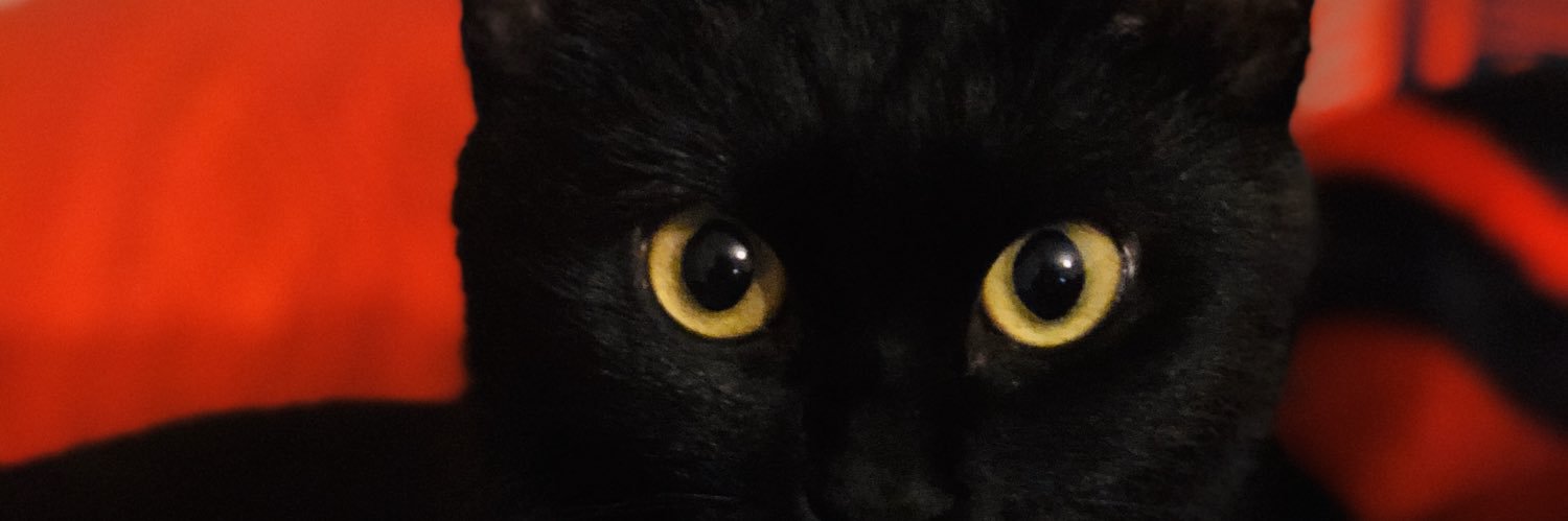 acisoos's profile banner image