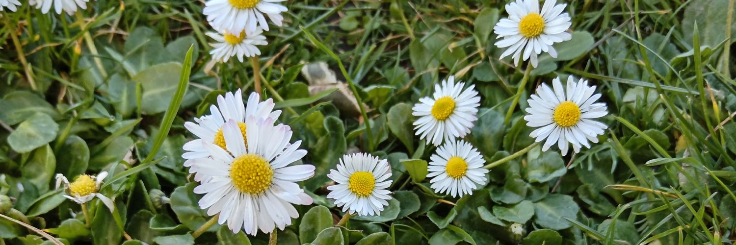 AmyLBiggs's profile banner image