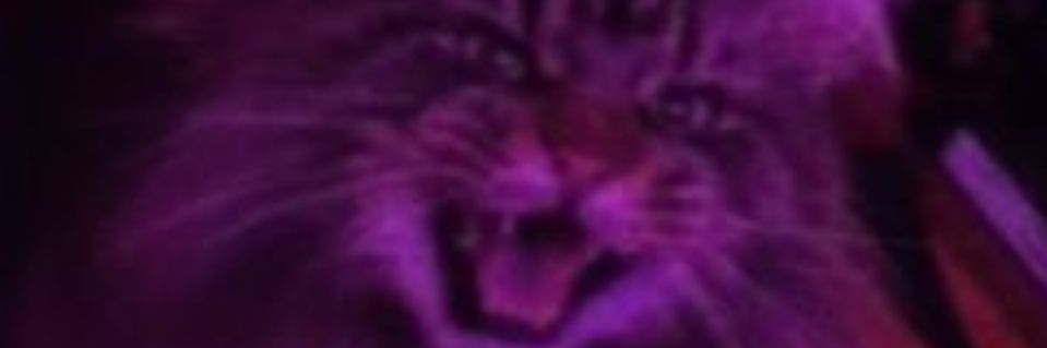 BecomeAsJerry's profile banner image