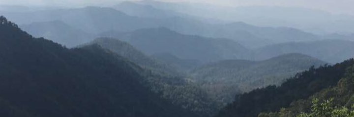 nphillips36's profile banner image