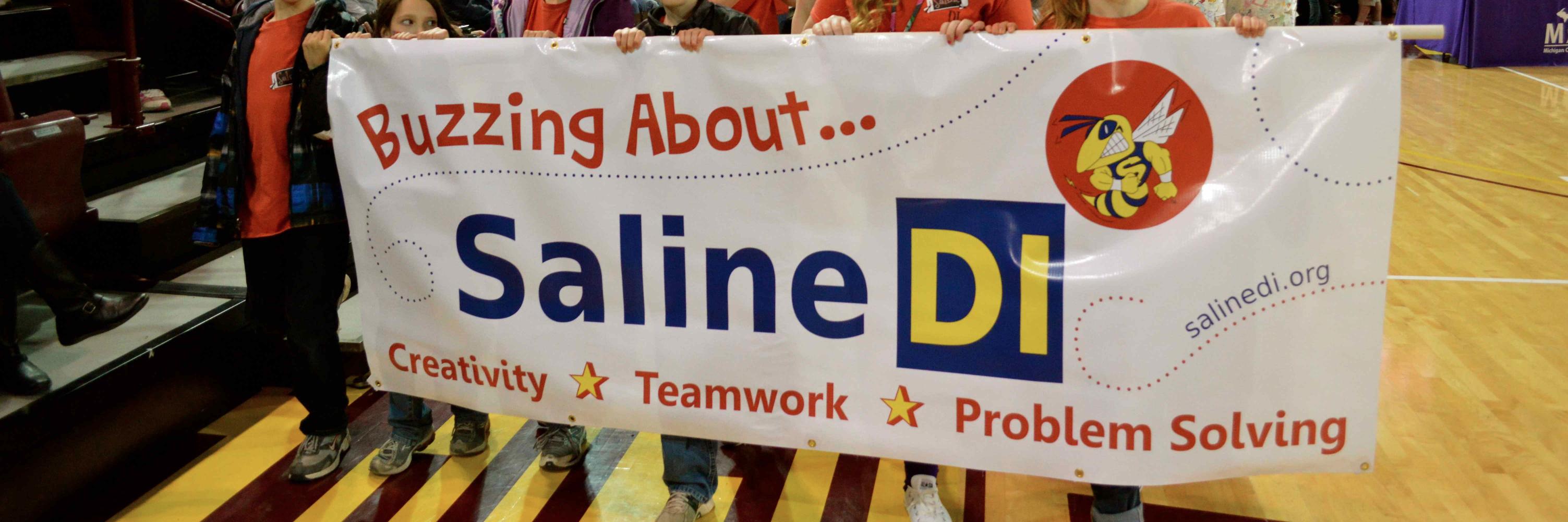Saline_DI's profile banner image