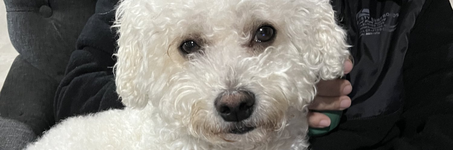 valeenalfonso's profile banner image