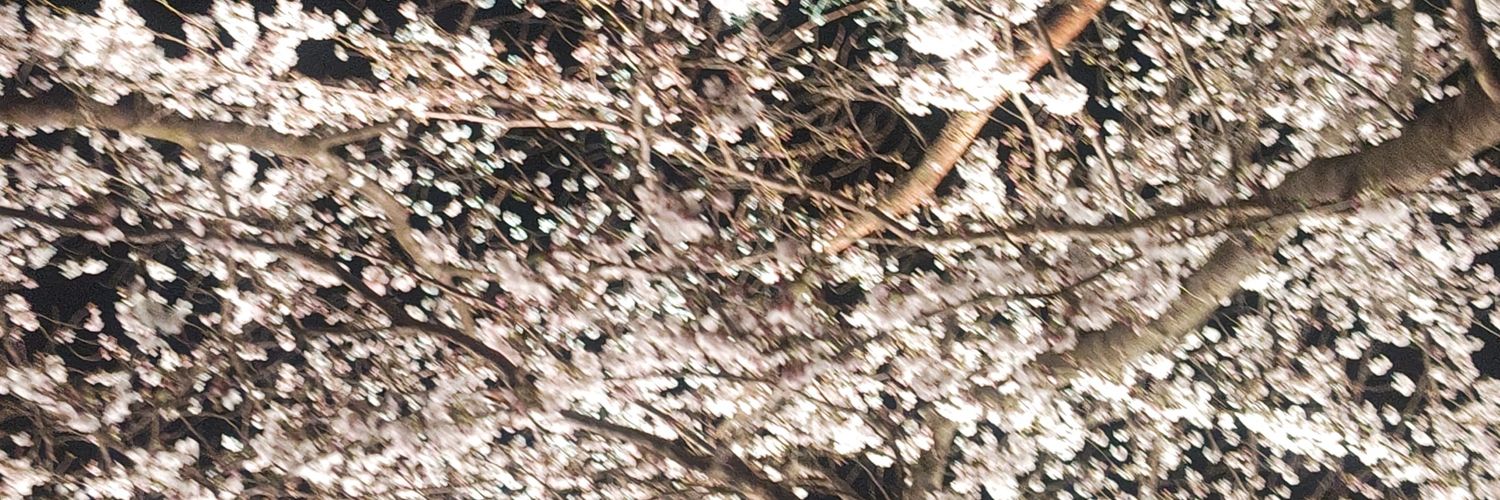 singo612's profile banner image