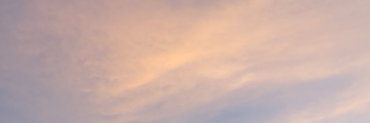 luhde_ast's profile banner image