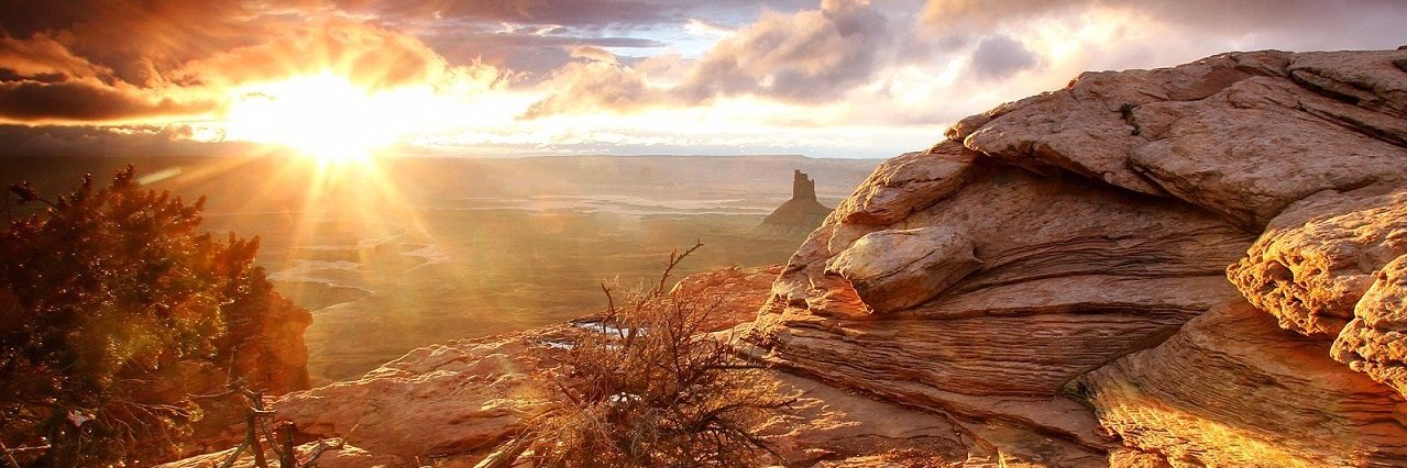 MichaelGrunhold's profile banner image