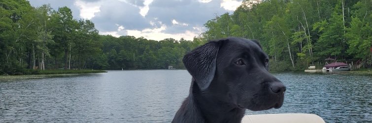 tuttlebw's profile banner image