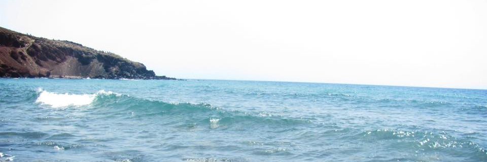 courtneybann's profile banner image