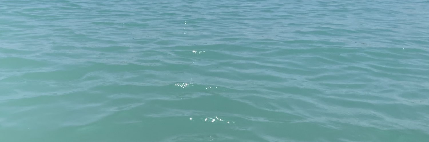 lenaaeb's profile banner image