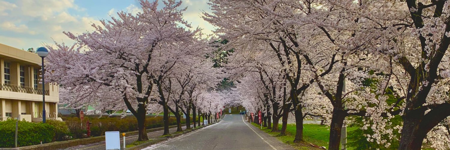 TaiseiHayama's profile banner image