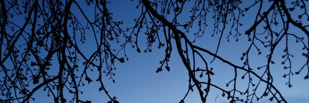 Ireneejea16's profile banner image