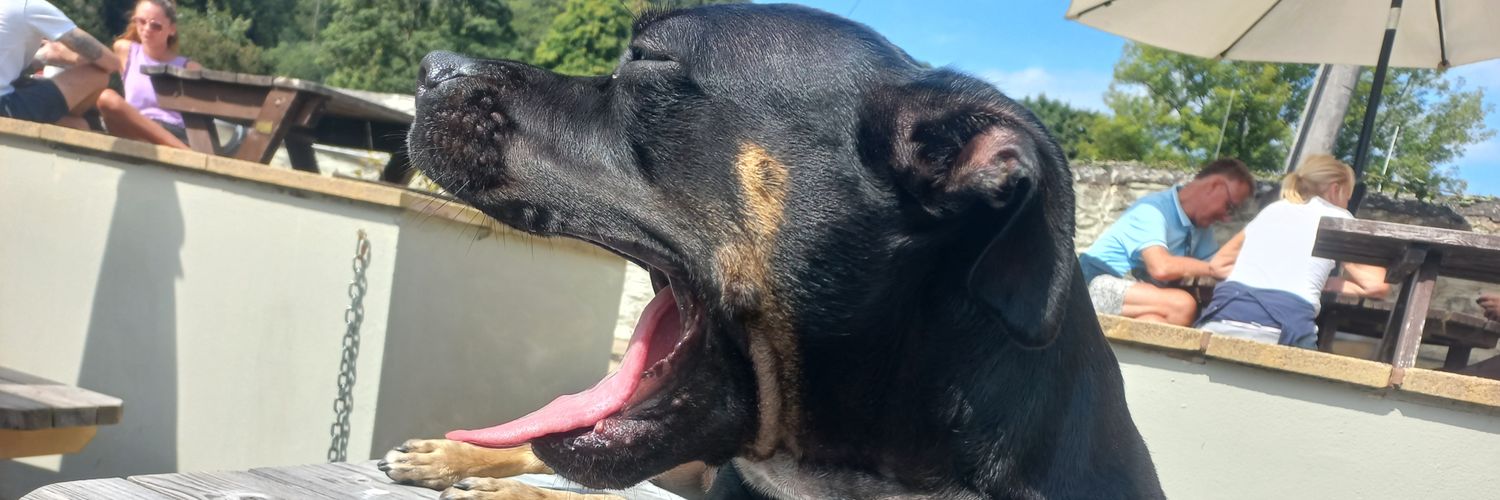 Ewa ⚡🏴‍☠️ banner