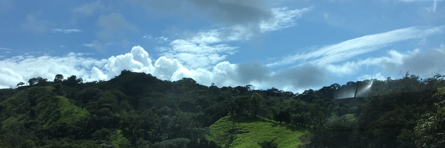 ambatist's profile banner image