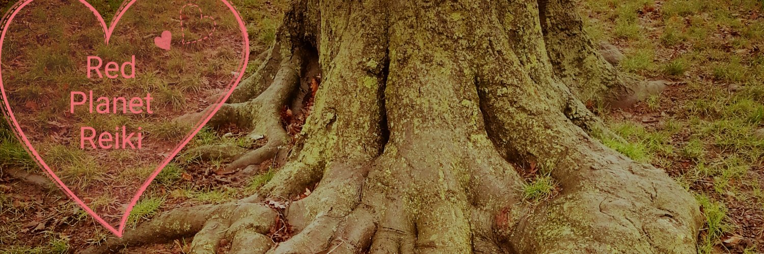 Marsfunk01's profile banner image
