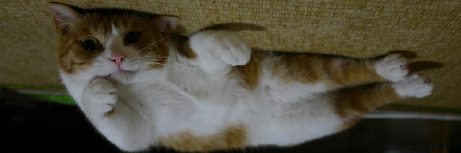 P banner