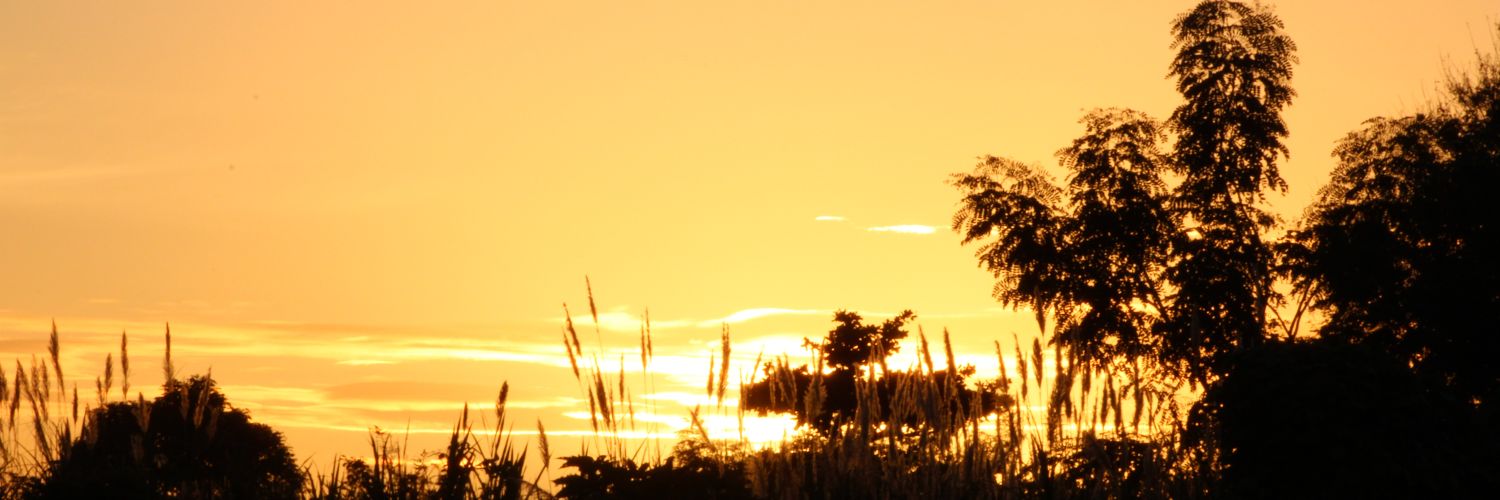 Adteflon's profile banner image