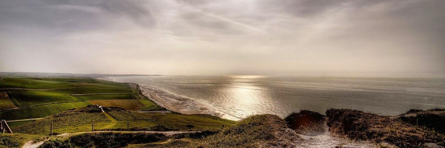 Mick Law 🌏 banner