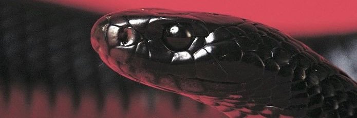Aerial banner