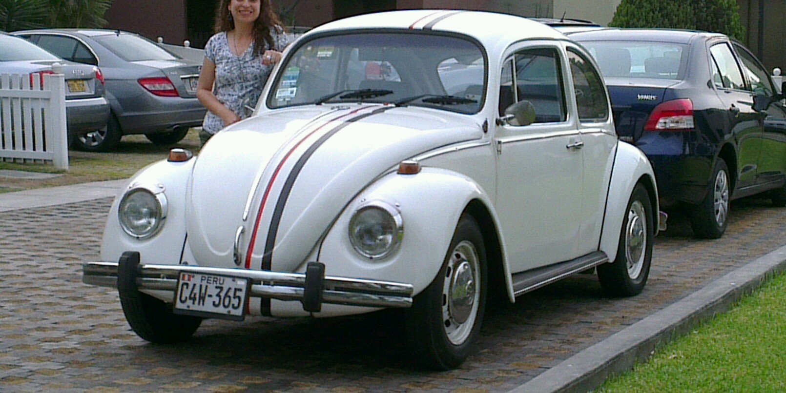 Marilú Merino banner