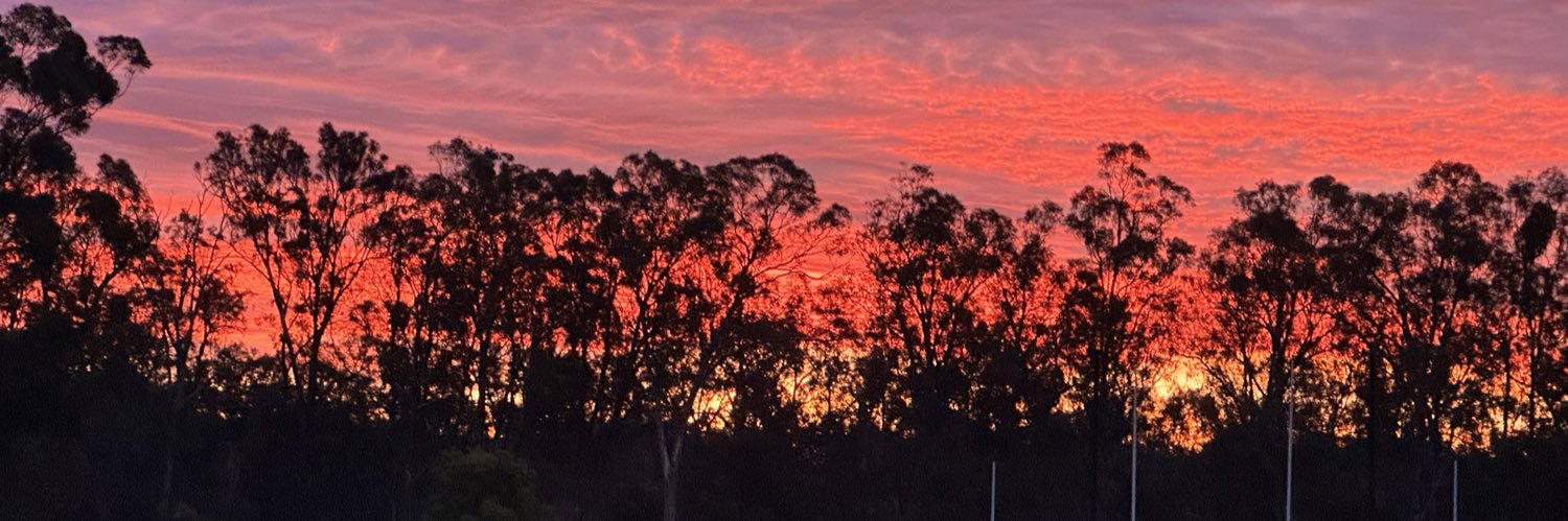 Browny 🏌🏻‍♂️ banner