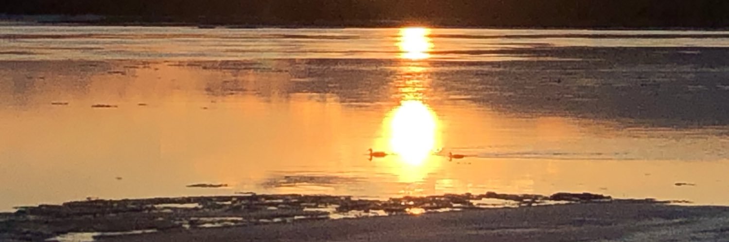 Katri Vilppola banner